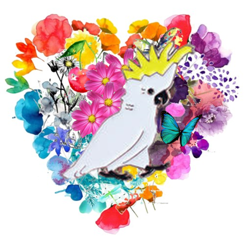 Cockatoo and Butterfly Heart.png