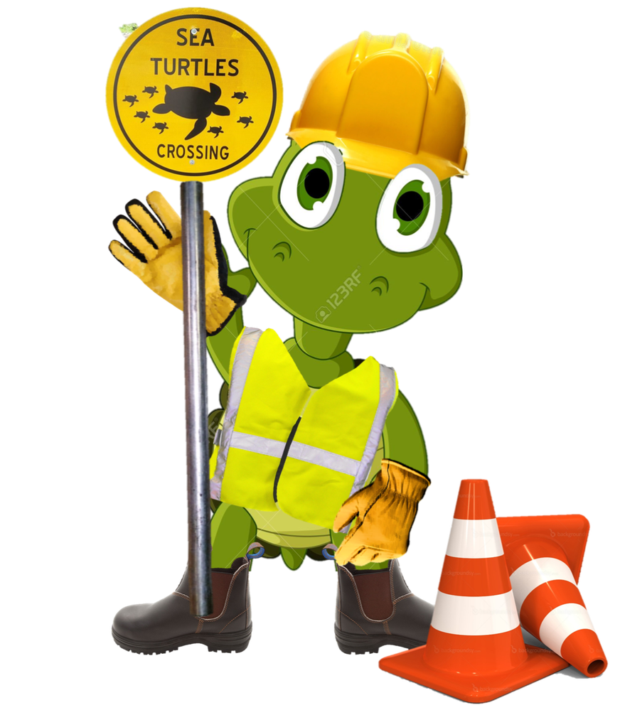 Safety Turtle.png