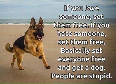 Dog wisdom.jpg