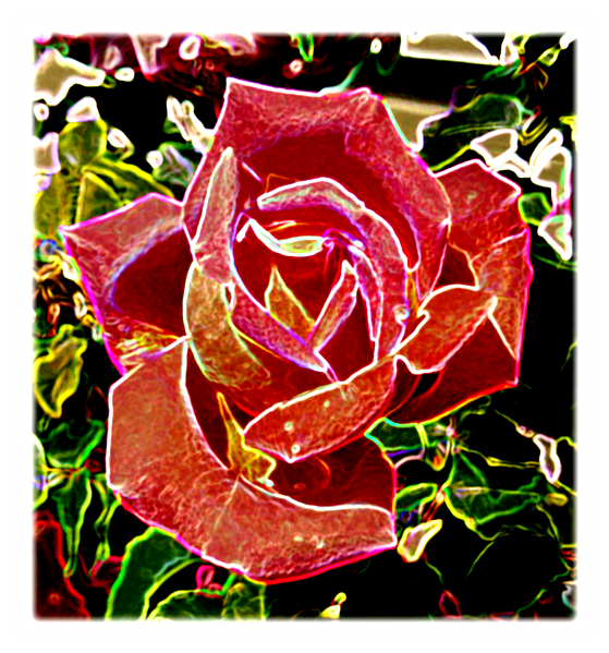 Pink Rose.png