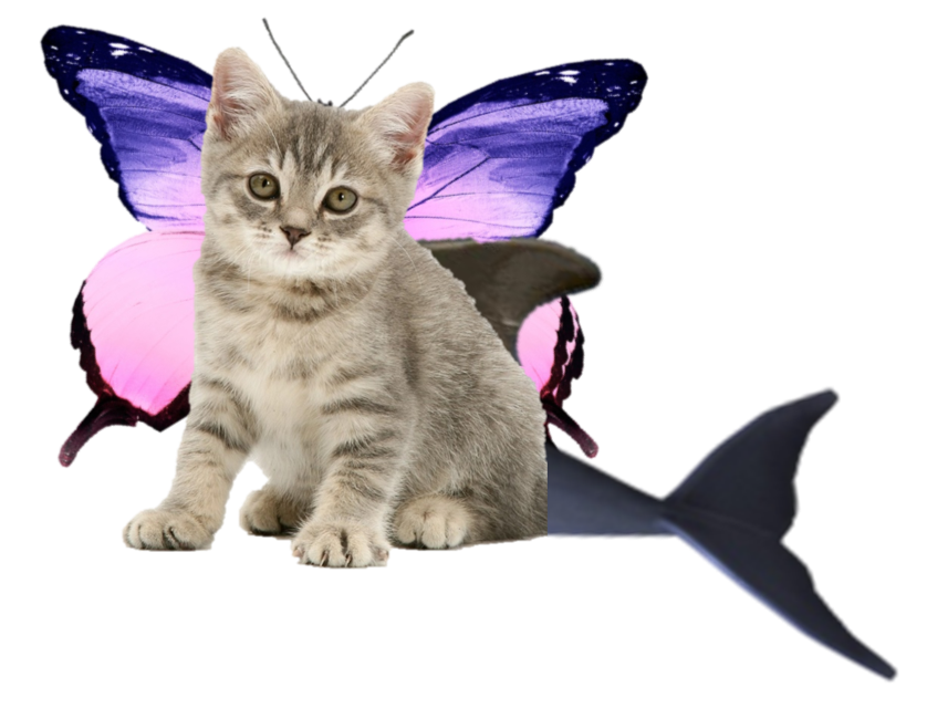 Catterphin.png