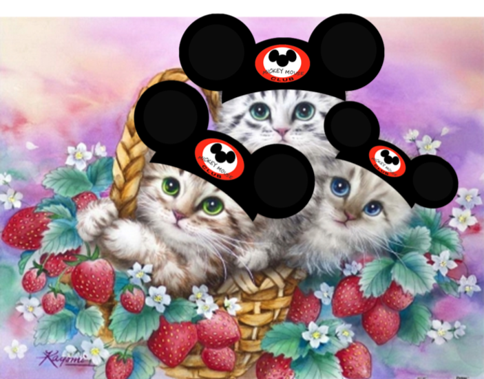 Mouseketeers.png