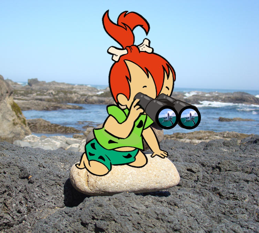 Pebbles rocks.png