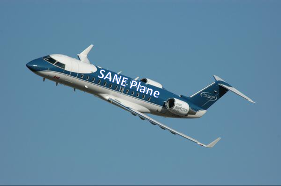 SANE Plane.png