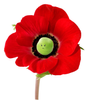 Greenpea Poppy.png