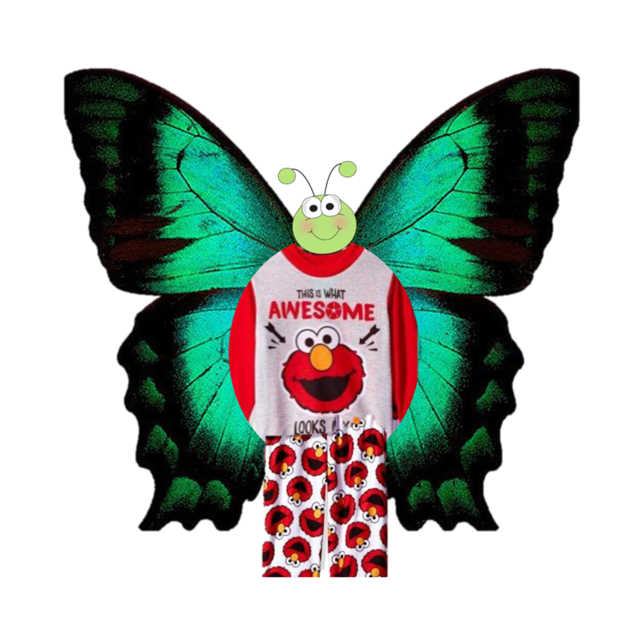 Elmo Butterfly.png