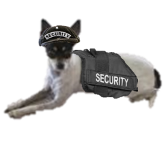 Security Holly.png