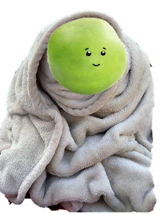 Pea Blanket.png