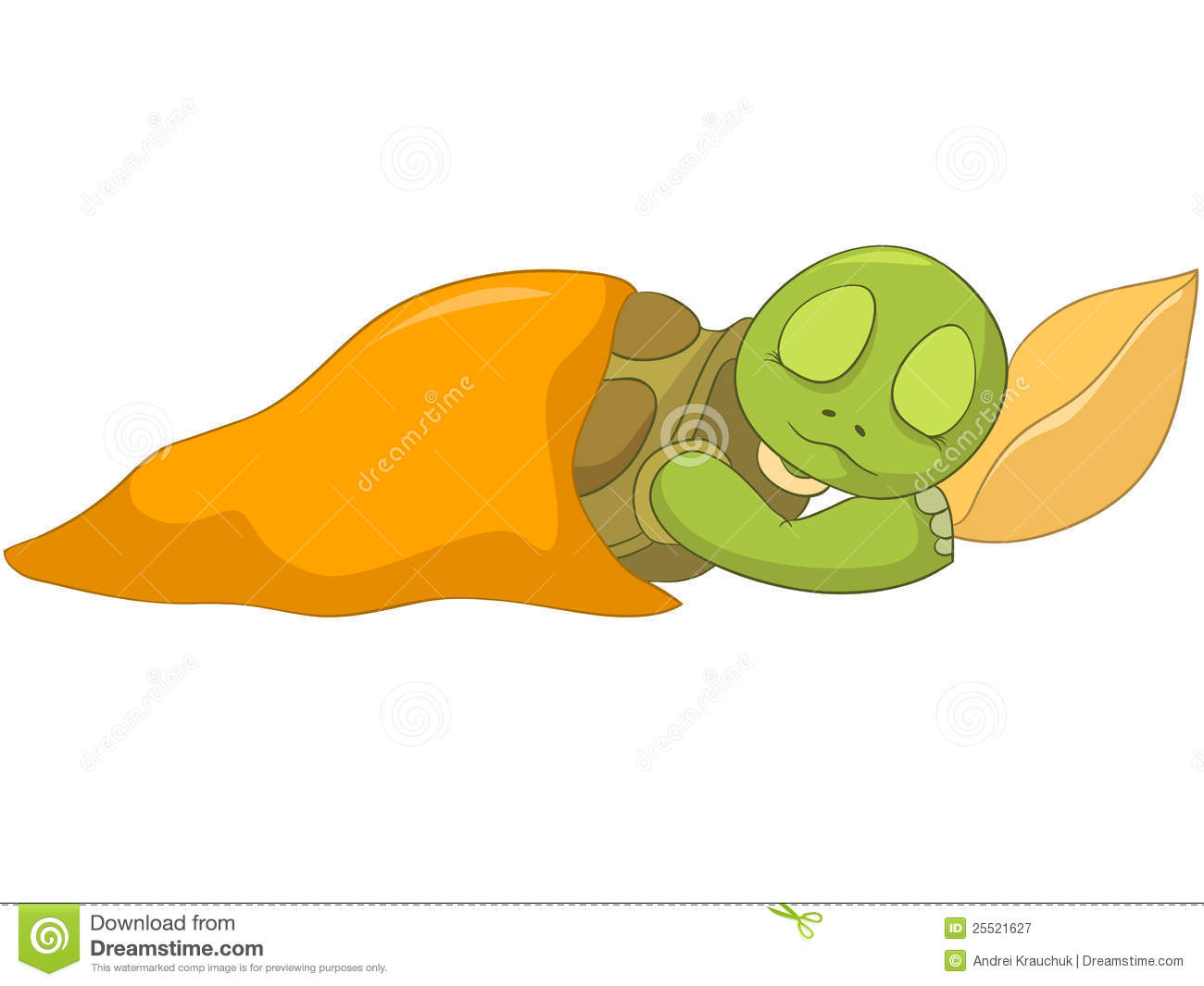 sleeping turtle.jpg