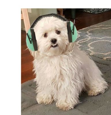 Toby Ear Muffs.jpg