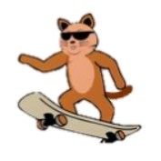 Cat on skateboard.jpg